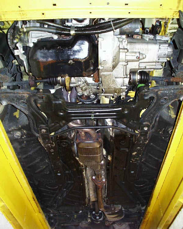 Zonker underside, front